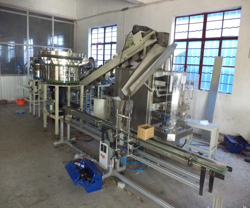 Automatic Multi-Function Counting Packaging Machine Screw Filling PE Bag Sealing Rubber Plug Plastic Material Core Motor