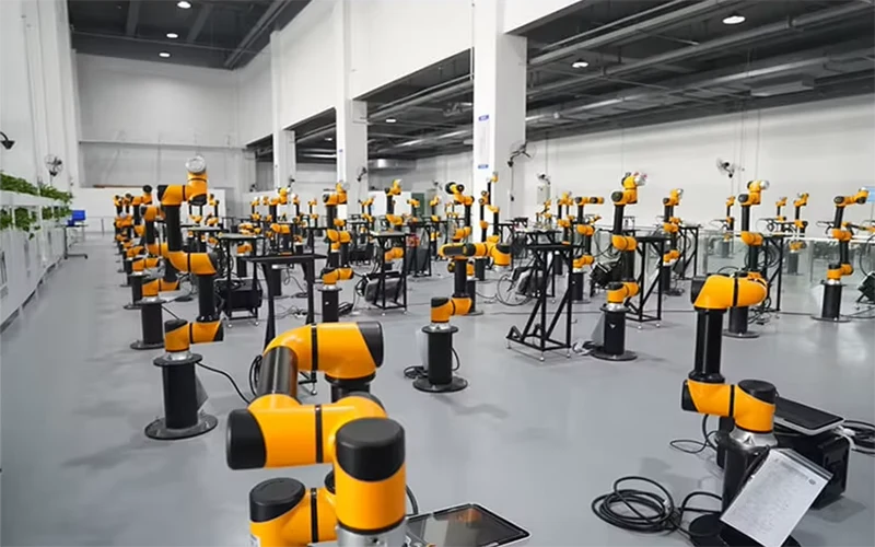 Collaborative Robotic Robot Pallet Plastic Palletizer 1kg 2kg 5kg Fried Chicken Noodles Cooking Industrial Arm