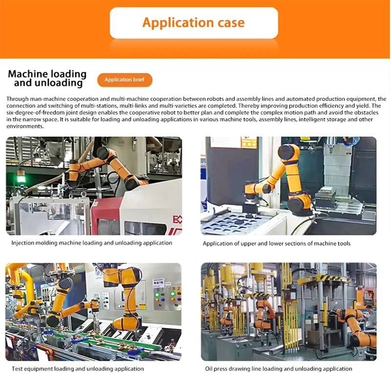 6 Axis Load 5kg 10kg 20kg 30kg Automated Industrial Equipment Cobot Palletizer