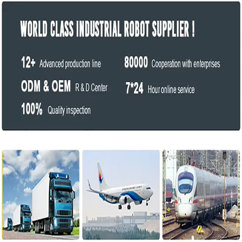 6 Axis Load 5kg 10kg 20kg 30kg Automated Industrial Equipment Cobot Palletizer