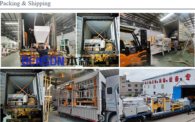 High precision fully automatic 10-50kg fertilizer granular salt animal feed vertical palletizer