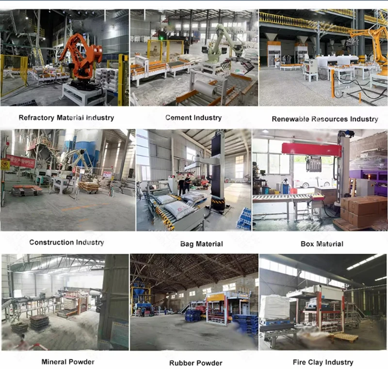 The gantry - type high - position palletizer is suitable for palletizing heavy objects with high load, has strong stability, a wide working range. It is produced by Benson manufacturer.
